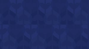 GR136 Final Web Images 2560x1440 Blueberry pattern G