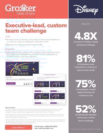 Grokker Disney Case Study