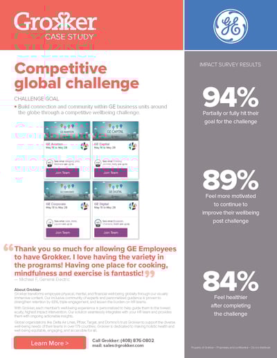 Grokker GE Competitive Case Study