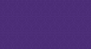 Grokker plum pattern B sm