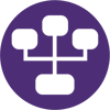 IT Architecture icon
